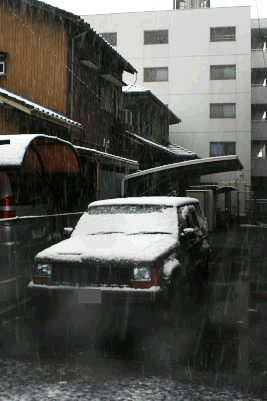 名古屋も大雪_c0104226_2333180.jpg