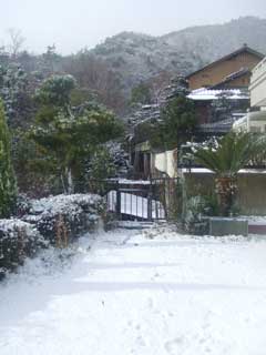 本日大雪!_b0054727_12192555.jpg