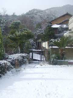 本日大雪！_b0054727_12192555.jpg