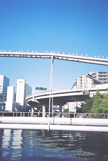 d0025245_23571647.jpg