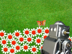 2007年1月7日(日) お花畑で_e0005548_1003694.gif