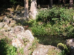 a0087378_715940.jpg