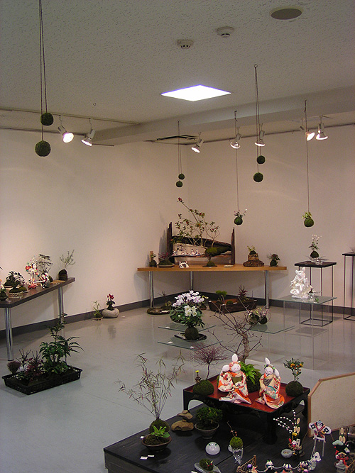 <企画展>北室:苔久・苔玉展 <企画展>南室:華鼓・玉青ふたり展_f0106896_11511783.jpg