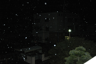 b0067598_2501582.jpg