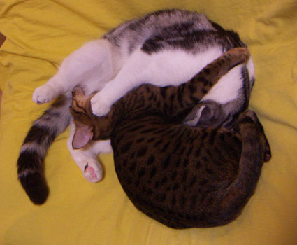 c0011300_7253528.jpg