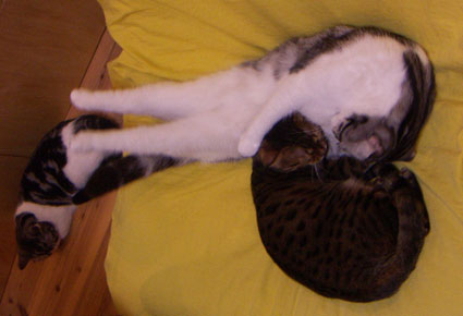 c0011300_7274144.jpg
