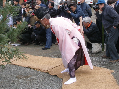 井手浦 尻振祭_c0036203_20352324.jpg