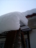 d0032405_20315034.jpg