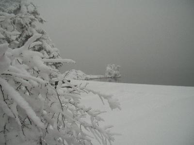 f0127408_21263874.jpg