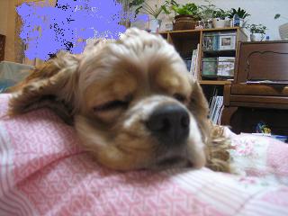a0064213_22114276.jpg