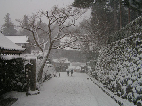 大原勝林院・宝泉院_e0048413_1874447.jpg