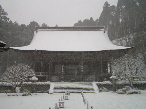 大原勝林院・宝泉院_e0048413_188155.jpg