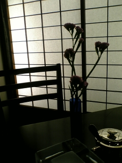 お弾き初め_b0019333_12243955.jpg