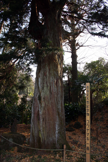 c0035838_22434042.jpg