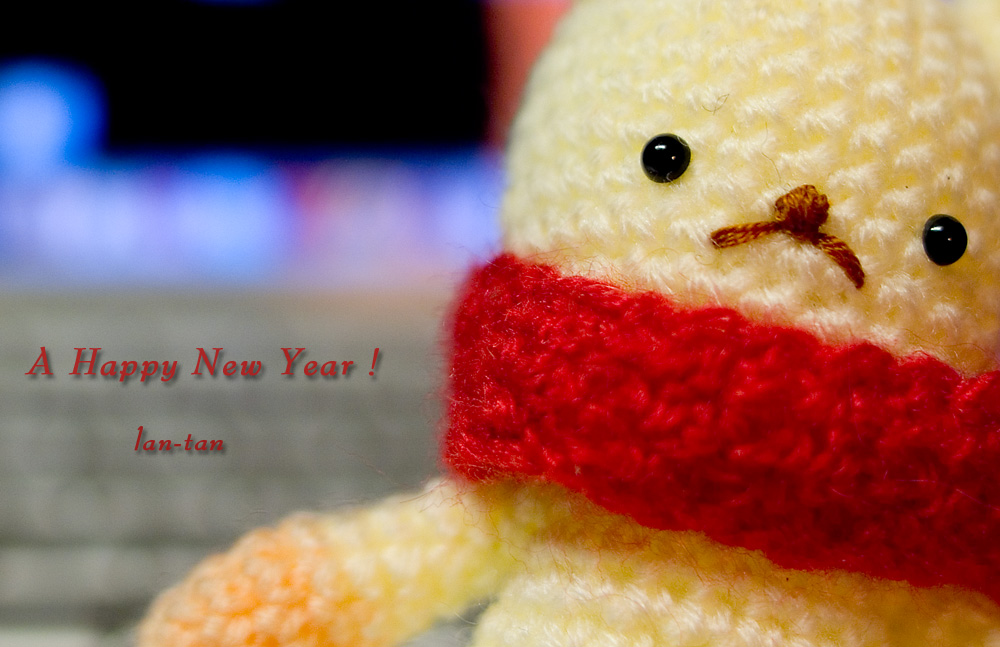 ☆New year☆_e0087542_109247.jpg