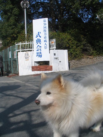 成人式_f0128542_21365410.jpg