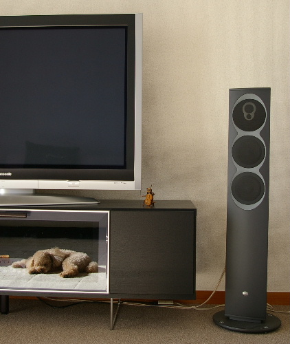 LINN KOMPONENT 110 : 六甲落陽 LINN KOMPONENT 110 : 六甲落陽