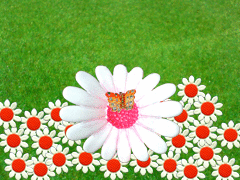 2007年1月9日(月) 危険の予感_e0005548_22194383.gif