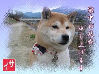 新年明けて1週間_c0049950_14565517.jpg