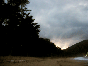 f0041351_171436.gif
