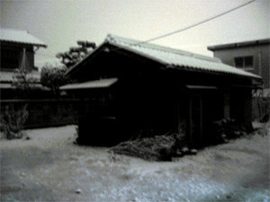 f0041351_172314.gif