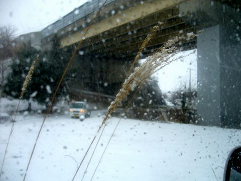b0015260_0165739.jpg