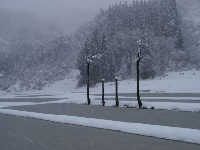 a0025576_2013778.jpg