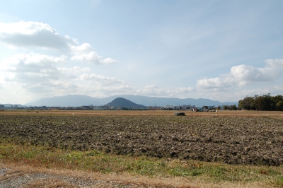 b0100489_19272123.jpg