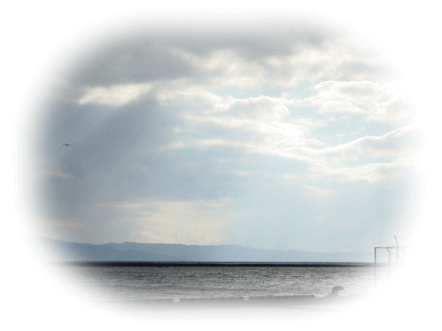 f0059492_21465929.gif
