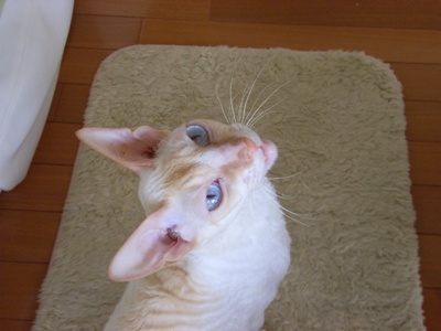d0066311_03507.jpg