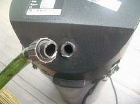 f0044612_025685.jpg