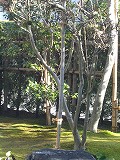 f0110413_1722053.jpg