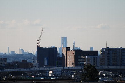 d0051614_135627.jpg