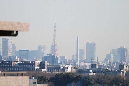 d0051614_192434.jpg