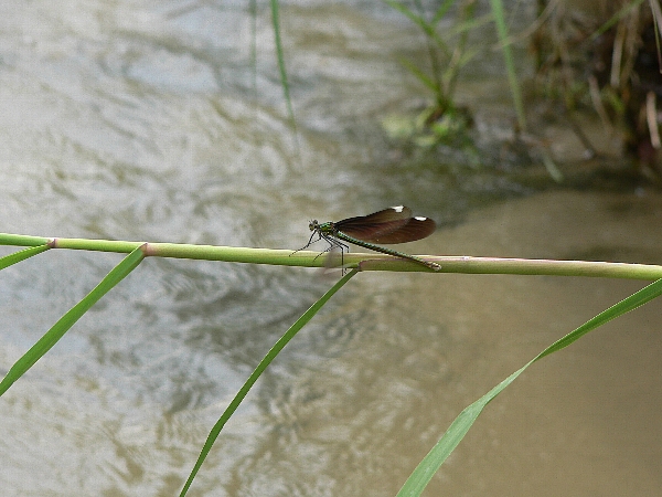 e0002314_2133473.jpg
