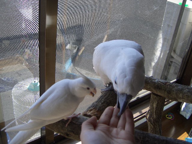 e0107730_23163760.jpg
