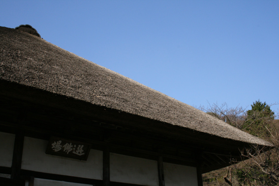 c0035838_22574986.jpg