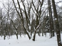 2回目の場所・・・ここは日本?_f0019247_2225755.jpg