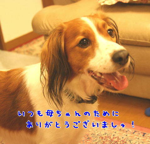 d0013149_014510.jpg
