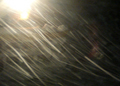 e0023872_2105712.jpg