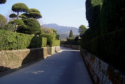d0030373_15138.jpg