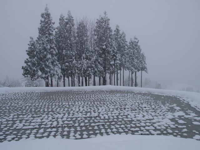 a0025576_22384544.jpg