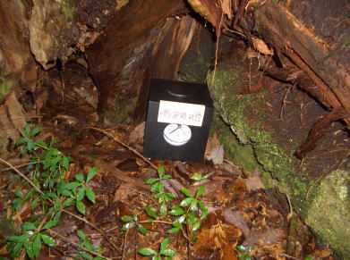 c0094876_2318031.jpg