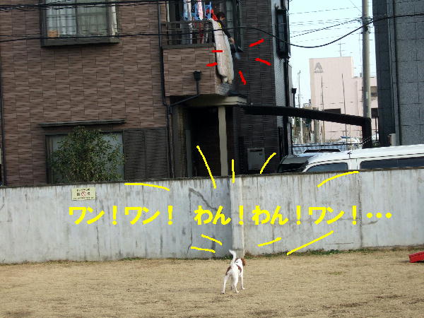 c0075585_2351207.jpg