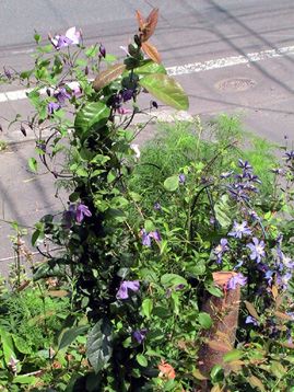c0016987_1928548.jpg