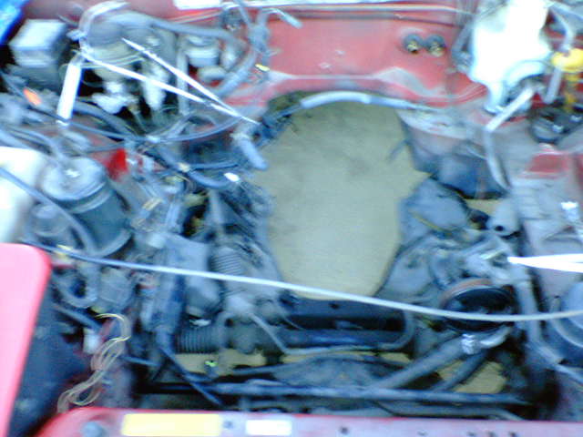 b0084893_8353914.jpg