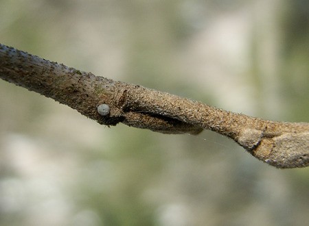 c0049095_091211.jpg