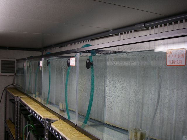 e0010301_16131475.jpg