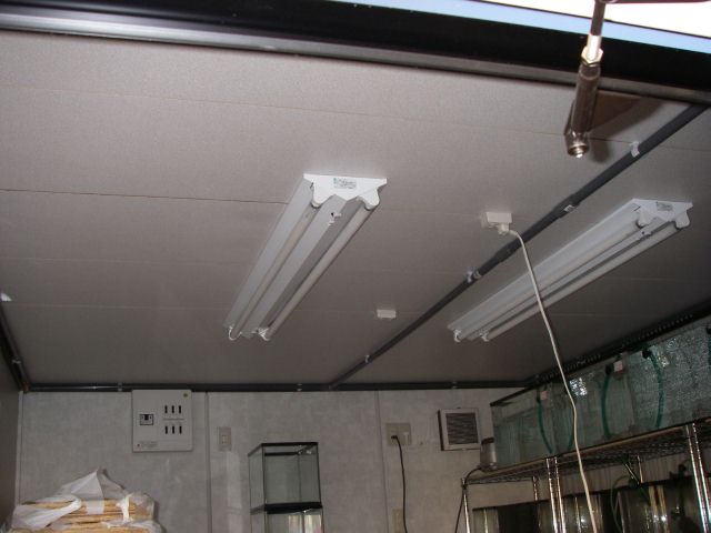 e0010301_16205872.jpg