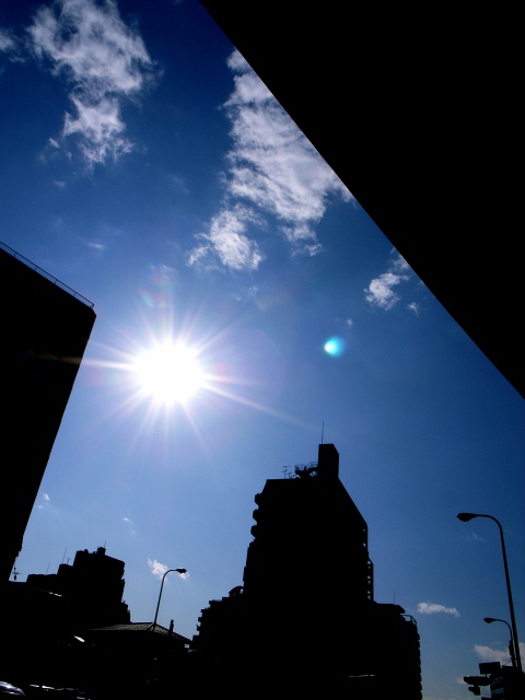c0071611_20455261.jpg